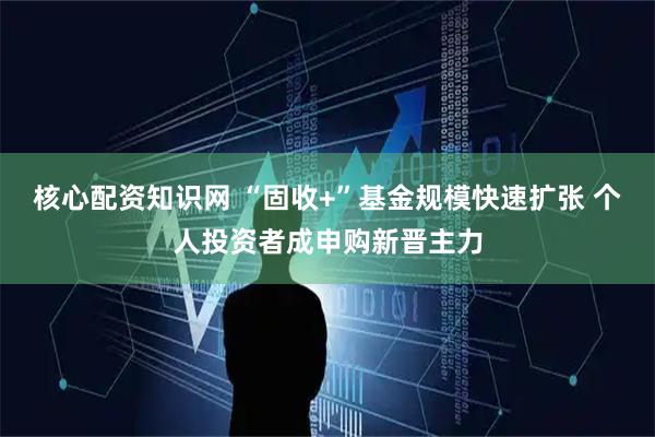 核心配资知识网 “固收+”基金规模快速扩张 个人投资者成申购新晋主力