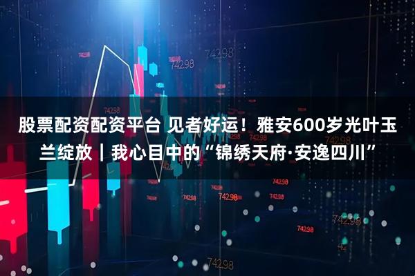 股票配资配资平台 见者好运！雅安600岁光叶玉兰绽放｜我心目中的“锦绣天府·安逸四川”